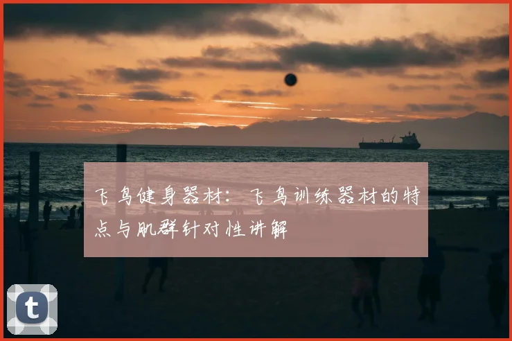 飞鸟健身器材：飞鸟训练器材的特点与肌群针对性讲解