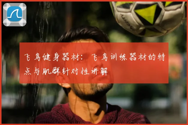 飞鸟健身器材：飞鸟训练器材的特点与肌群针对性讲解