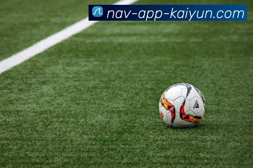 开云app服务体系